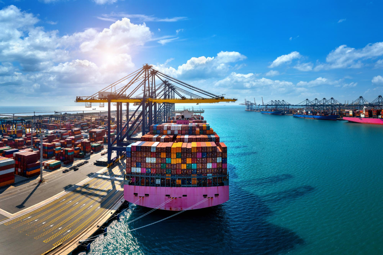 Customs Clearance